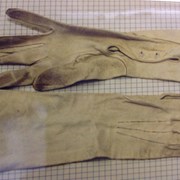 Cover image of Dress Gloves